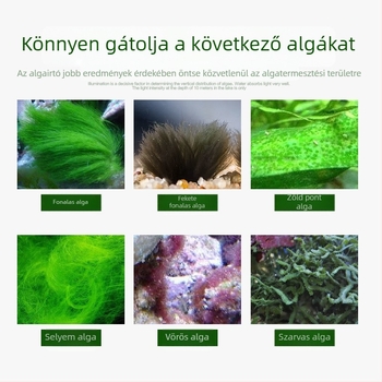 Akváriumi algák és mohák eltávolító – Halak számára biztonságos, eltávolítja a zöld és barna algákat és a fekete fonalas algát