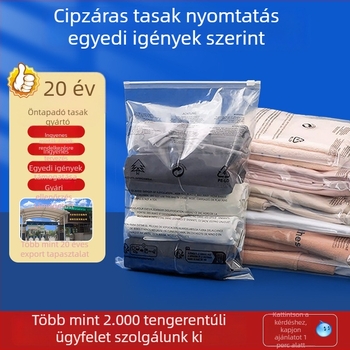 Vastagított CPE cipzáras tasakok függőleges csomagoláshoz zoknik, fehérnemű és ruházat számára; önzáró matt cipzáras zacskók; méretek és színek személyre szabhatók