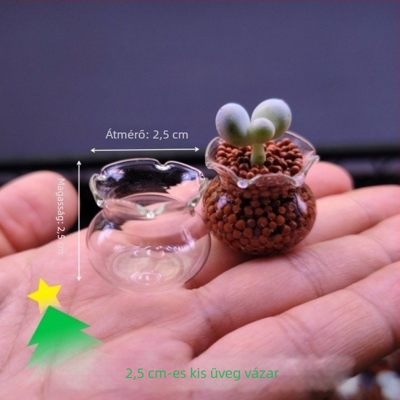 Mini üveg szukkulens cserép csipkés széle, ujjnyi méretű asztali tartóhoz, kertbe vagy erkélyre, magas vizuális vonzerővel, rendkívül aranyos és friss