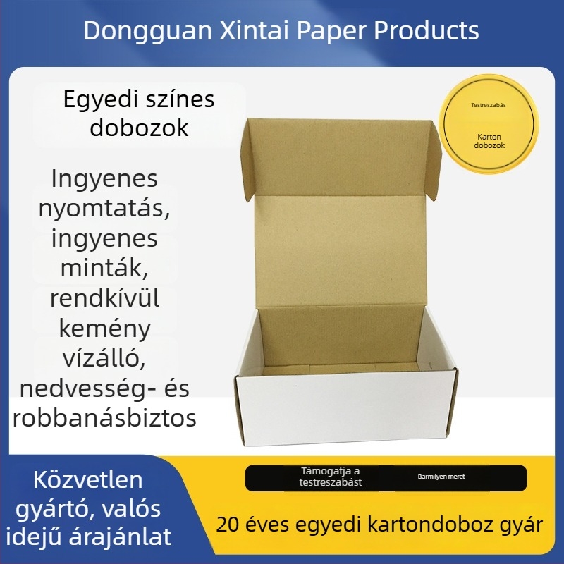 Egyedi repülőgép-stílusú doboz ruházathoz és fehérneműhöz, kraft papírból, dupla oldalú fehér hullámkarton doboz nyomtatási lehetőséggel