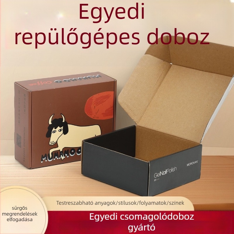 Személyre szabott színes repülő alakú doboz fehérneműkhöz és kiegészítőkhöz, vastag hullámkarton, kétoldalas színes nyomtatás, cipzáras fedéllel ellátott csomagolás