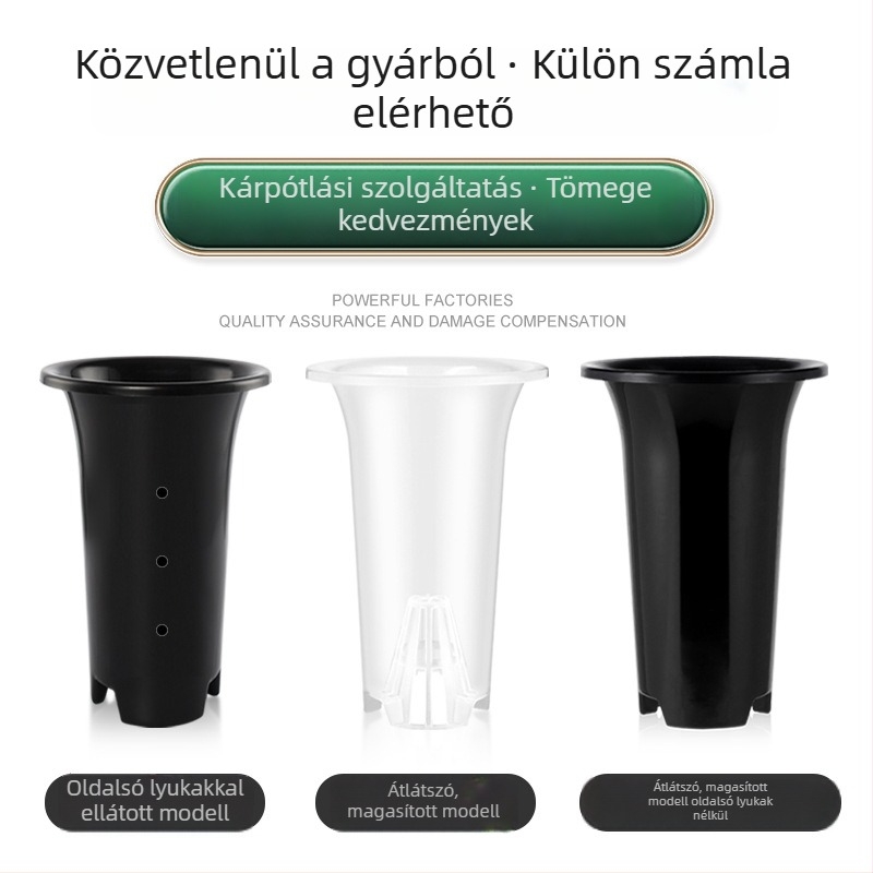 Átlátszó orchidea-cserép, magas, nagy méretű, légáteresztő, fekete, oldalsó nyílások nélkül