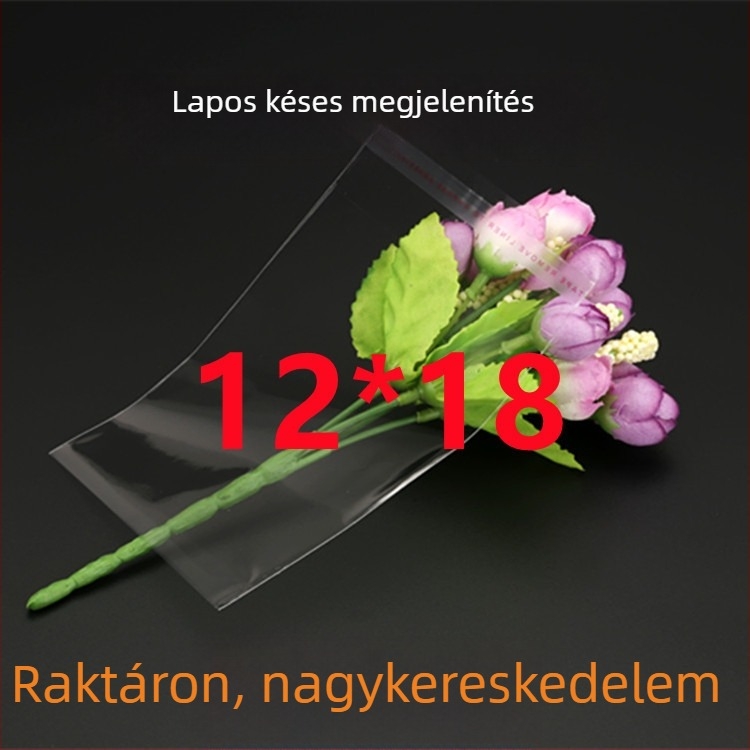12x15 cm önragasztó átlátszó műanyag csomagoló tasak ékszerekhez, kis méret, nyomtatható