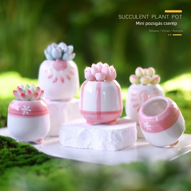 Mini Lithops kerámiás cserép kék-fehér mázzal, kézzel festett, aranyos minimalist design a palánta nevelésére.