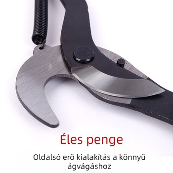 Aoye Teleszkópos Ágvágó Gyümölcs Szedéséhez, Magas Ágakhoz és Kerti Metszőolló