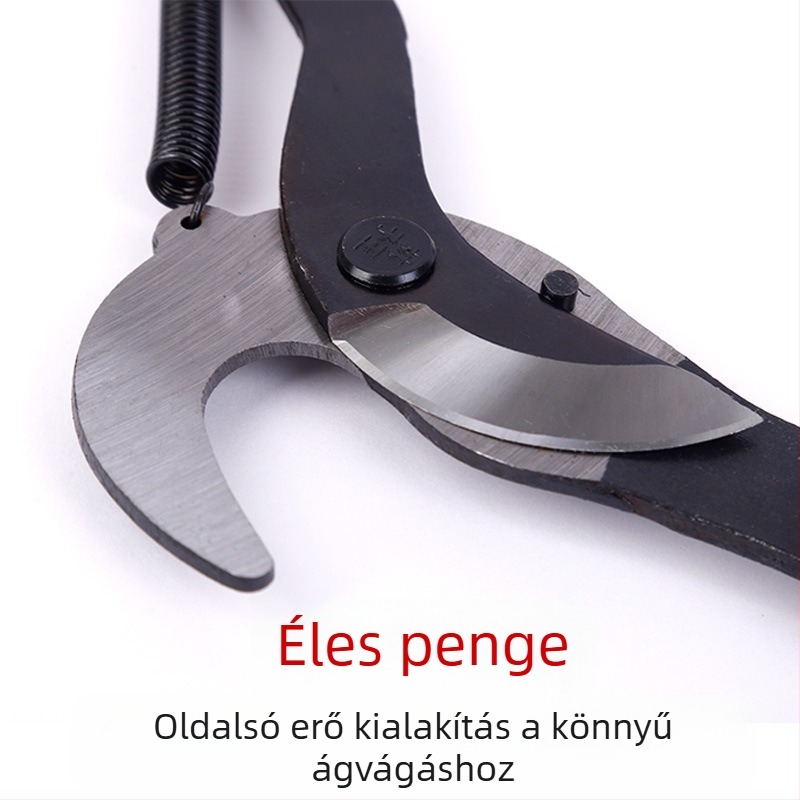 Aoye Teleszkópos Ágvágó Gyümölcs Szedéséhez, Magas Ágakhoz és Kerti Metszőolló