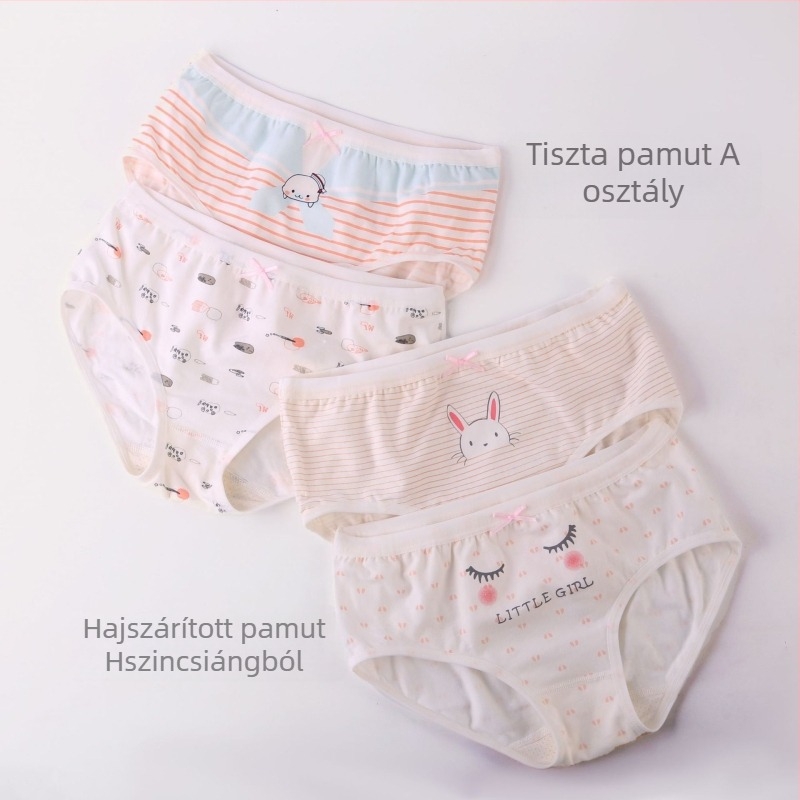 Lányoknak szóló pamut alsónemű, 95% pamut, mesefigurás nyomat, 3–8 éveseknek (100–140 cm)
