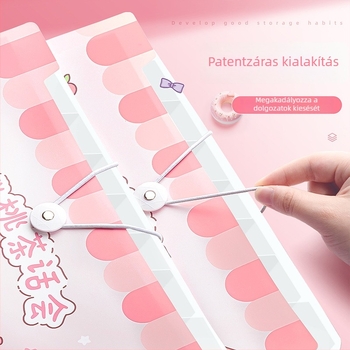 A4-es több rekeszes akordeon mappa átlátszó betétekkel – aranyos papírszervező diákoknak, általános iskolától középiskoláig