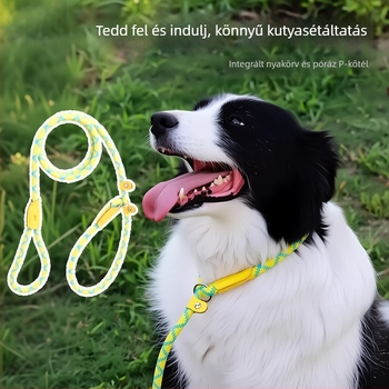 P-Chain anti-drag edzőpóráz kutyáknak, nylonból, állítható, kicsi- és nagytestű fajtákhoz (Golden Retriever, Border Collie)