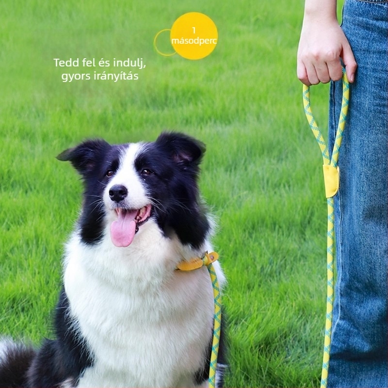P-Chain anti-drag edzőpóráz kutyáknak, nylonból, állítható, kicsi- és nagytestű fajtákhoz (Golden Retriever, Border Collie)