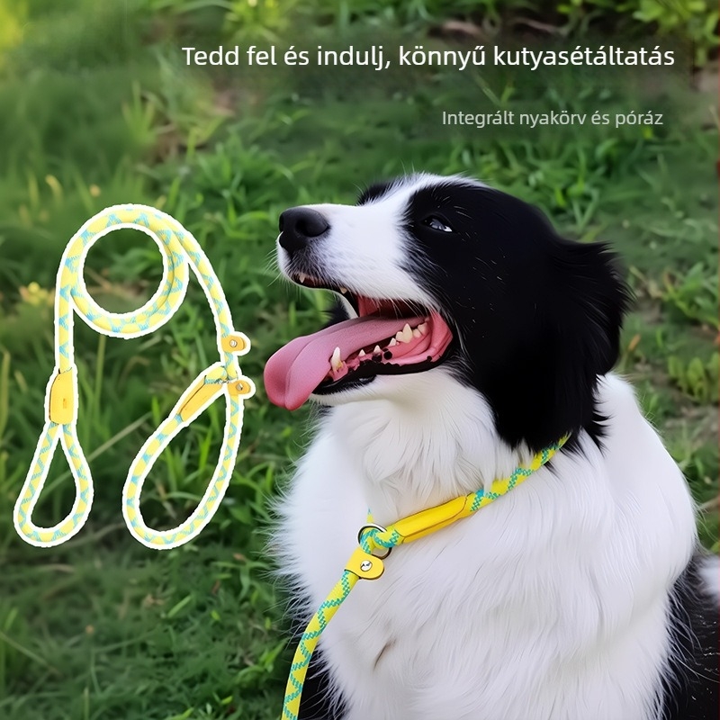 P-Chain anti-drag edzőpóráz kutyáknak, nylonból, állítható, kicsi- és nagytestű fajtákhoz (Golden Retriever, Border Collie)