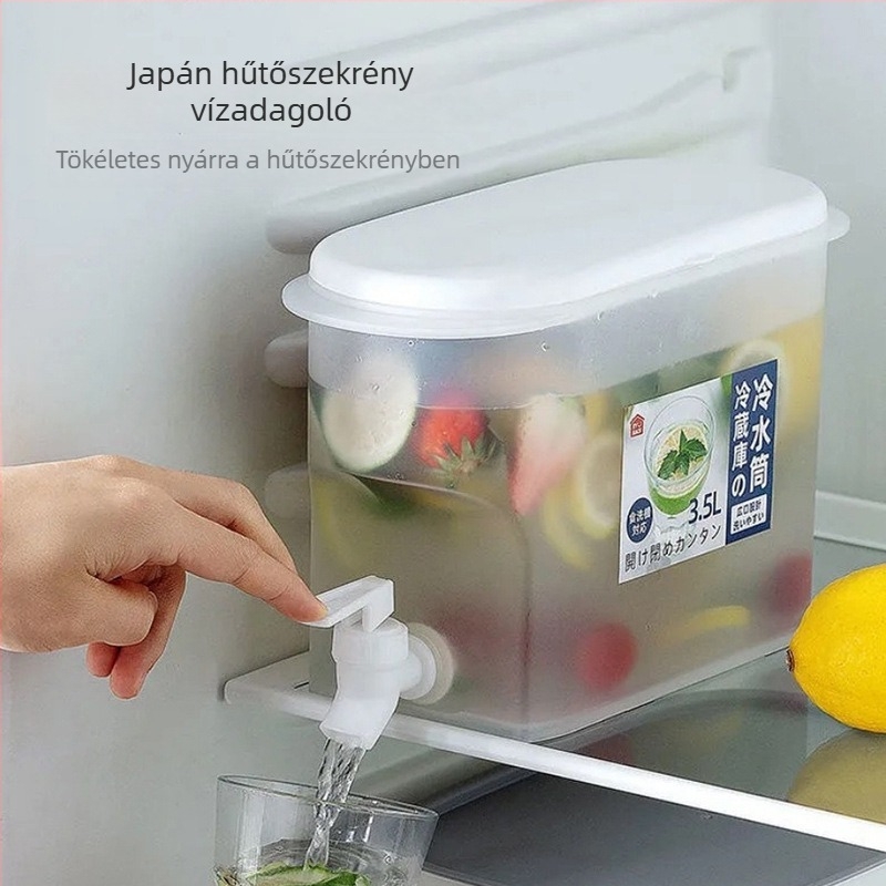 Hideg vízforraló csappal a hűtőbe, zárt víztartály gyümölcsteával, jégvödör — nyári otthoni használatra
