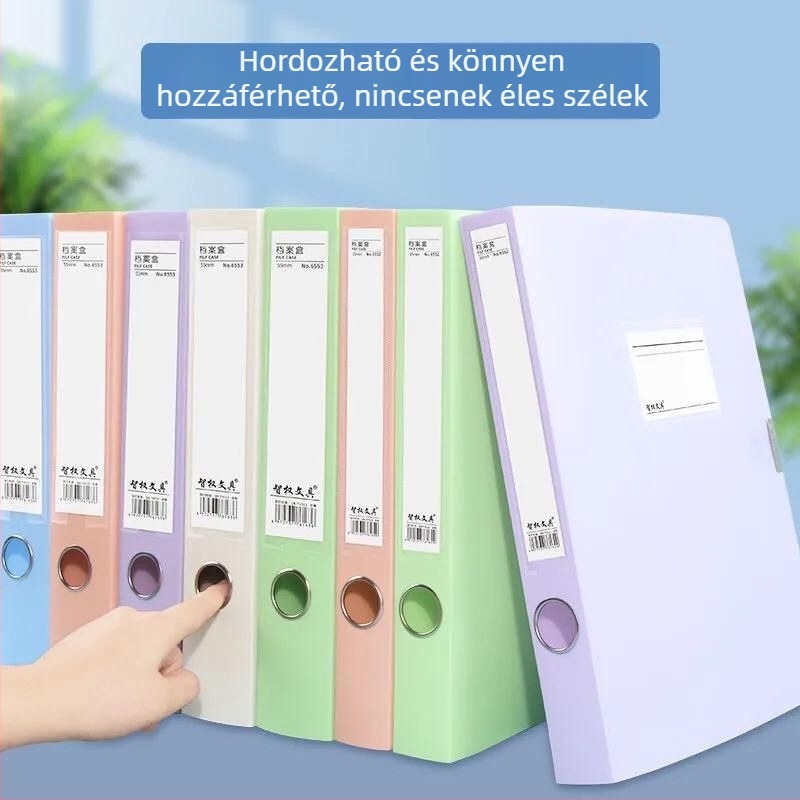 Morandi archiválódoboz, A4 színes aktatartó, könyvelési bizonylatokhoz, műanyag rögzítés