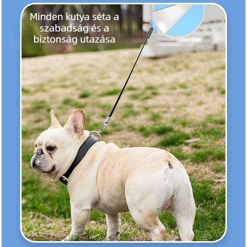 Kihúzható kutyapóráz minden méretű kutyának