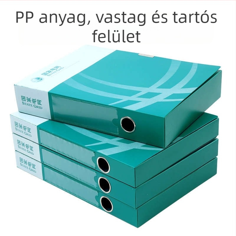 Színes műanyag fájlbox, A4 méretű, integrált rácsos dokumentumtároló