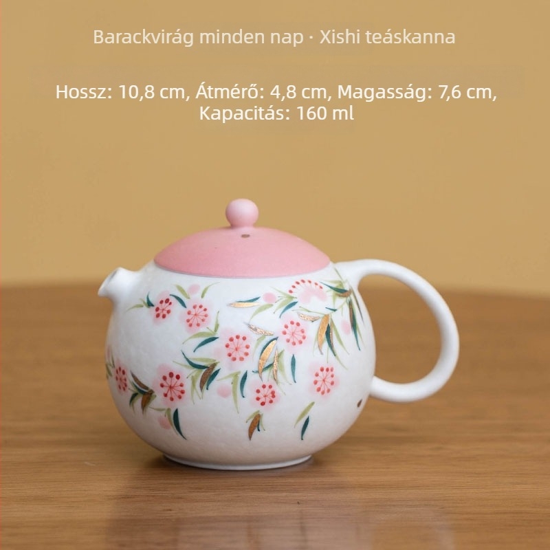 Kézzel festett Xishi teáskanna, kerámia, nőknek – kifinomult teafőző készlet Kung-Fu tea ceremóniához