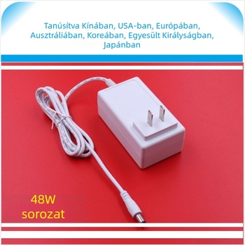 12V 4A fehér tápegység kozmetikai eszközökhöz, kis készülékekhez, LED világításhoz és hűtő pohárhoz