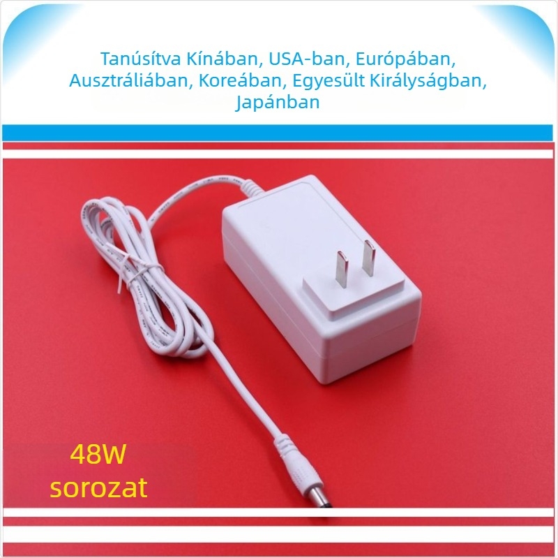 12V 4A fehér tápegység kozmetikai eszközökhöz, kis készülékekhez, LED világításhoz és hűtő pohárhoz