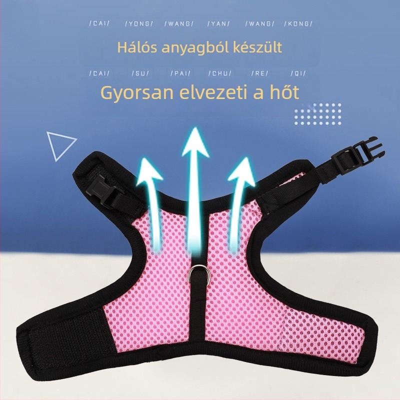 Mellény-stílusú mellkas-hám kisállatok számára pórázzal — nyulak és tengerimalacok számára