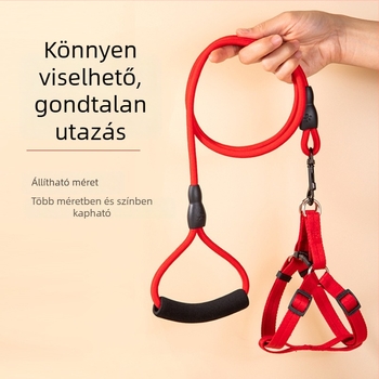Húzható kutya póráz, hám és nyakörv kölyökkutyáknak és kistestű kutyáknak