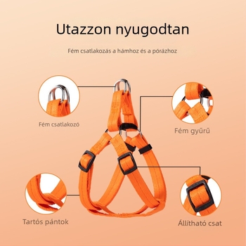 Húzható kutya póráz, hám és nyakörv kölyökkutyáknak és kistestű kutyáknak
