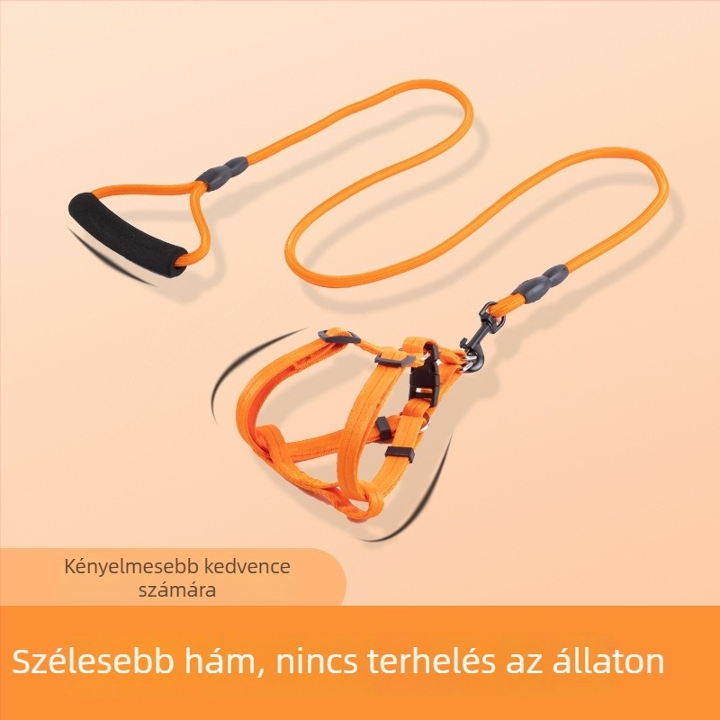 Húzható kutya póráz, hám és nyakörv kölyökkutyáknak és kistestű kutyáknak