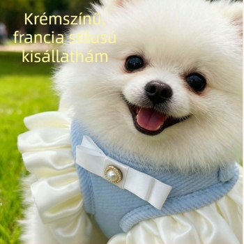 Mellkasra szerelt hám és póráz kistestű kutyáknak