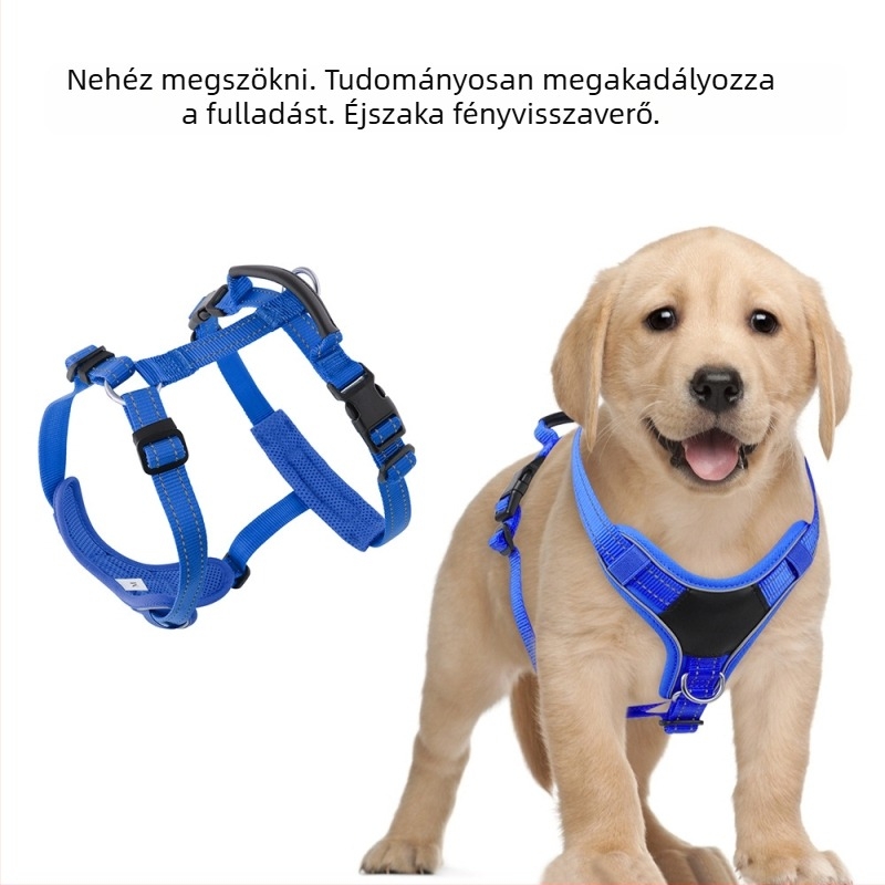 Új kutya póráz bőr fogantyúval és I-formájú hám, mellény stílusú, anti-evadálás