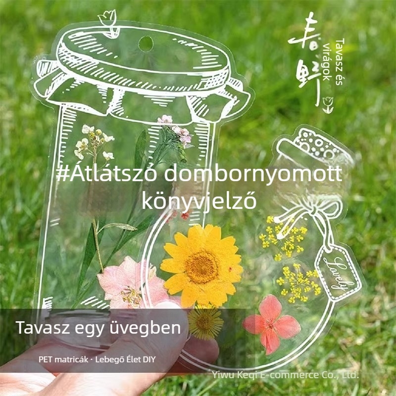 Szárított virágok és növényi példány lamináló filmmel, ősszel gyűjtött juharlevél — kézműves DIY anyagok, áttetsző levél kollázs