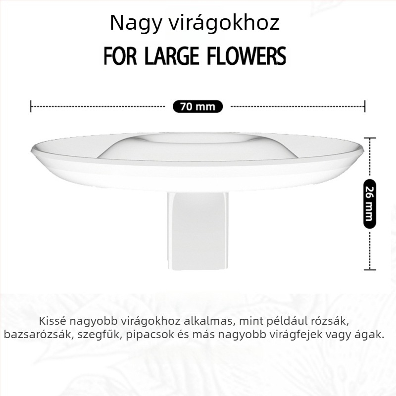 Új stílusú, minimalist virágkompozíció, hidropónikus virágtartó, nappali dekoráció