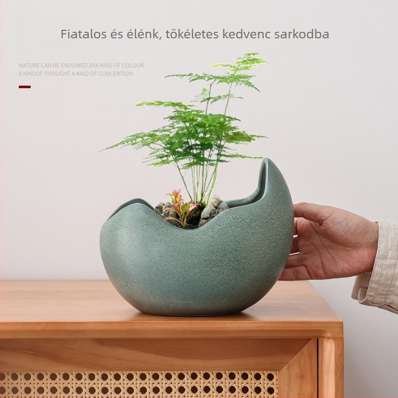 Kerámiából készült orchidea virágtartó, nappali asztali virágváza, beltéri bonsai – pénzfát