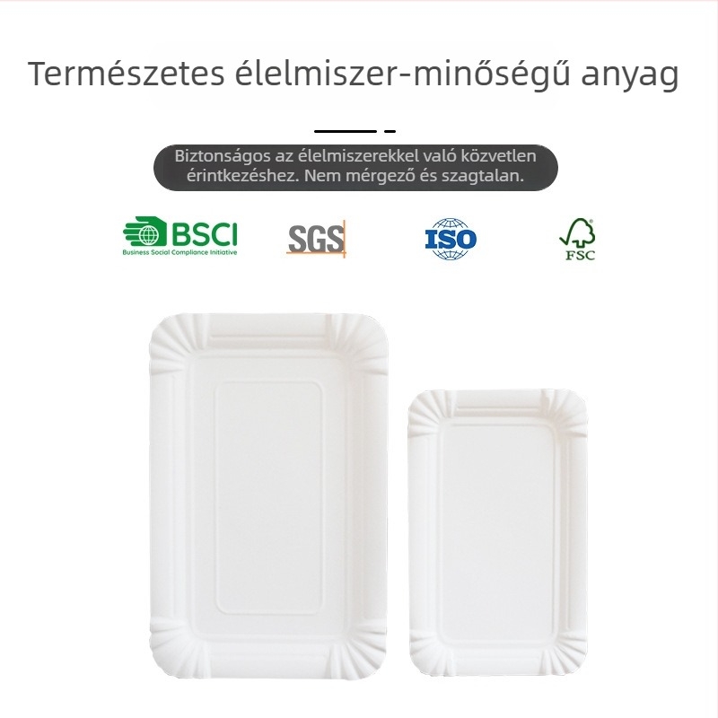 Egyszer használatos téglalap alakú papírtálca, élelmiszer-minőségű, biológiailag lebomló, 10×16 cm vagy 13×20 cm, 230-300 GSM, piknikre és otthoni használatra