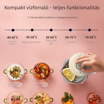 Linglu üveg elektromos vízforraló 0.8 L LR021 állítható hőmérséklettel
