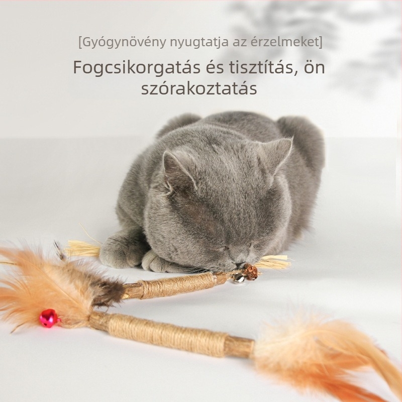 Új macska dentális rágó rudak macskamentával a friss leheletért