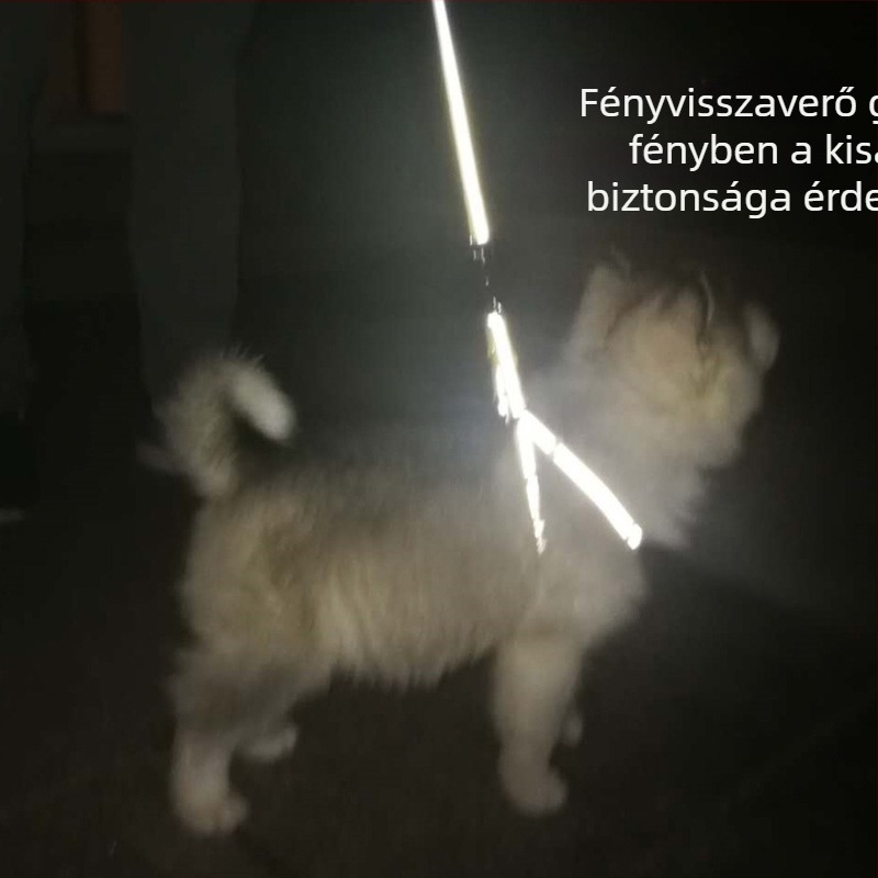 Reflektív, állítható kutyahám és póráz szett éjszakai sétákhoz