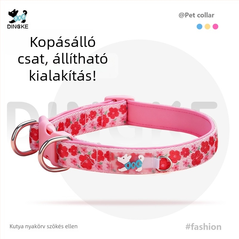Kutyák nyakörv és póráz tavaszi–nyári sétákhoz, erős és strapabíró, nagy, közepes és kicsi kutyáknak.
