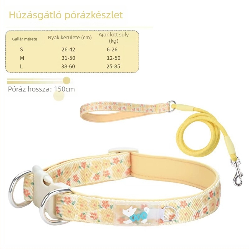 Kutyák nyakörv és póráz tavaszi–nyári sétákhoz, erős és strapabíró, nagy, közepes és kicsi kutyáknak.
