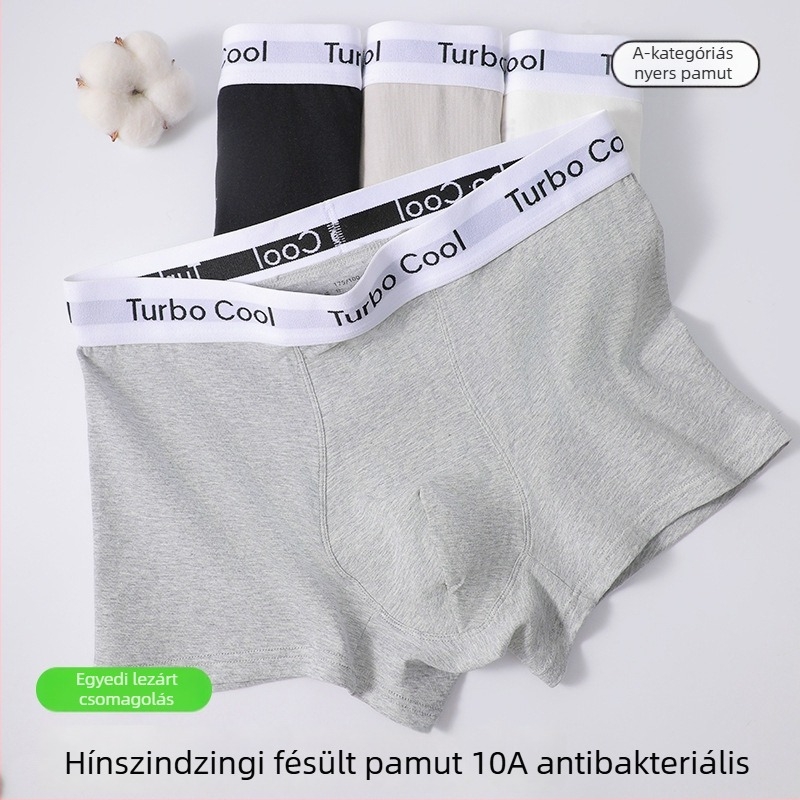 Férfi pamut alsónadrág, antibakteriális, egyszínű, középmagas derekú, 95–100% pamut