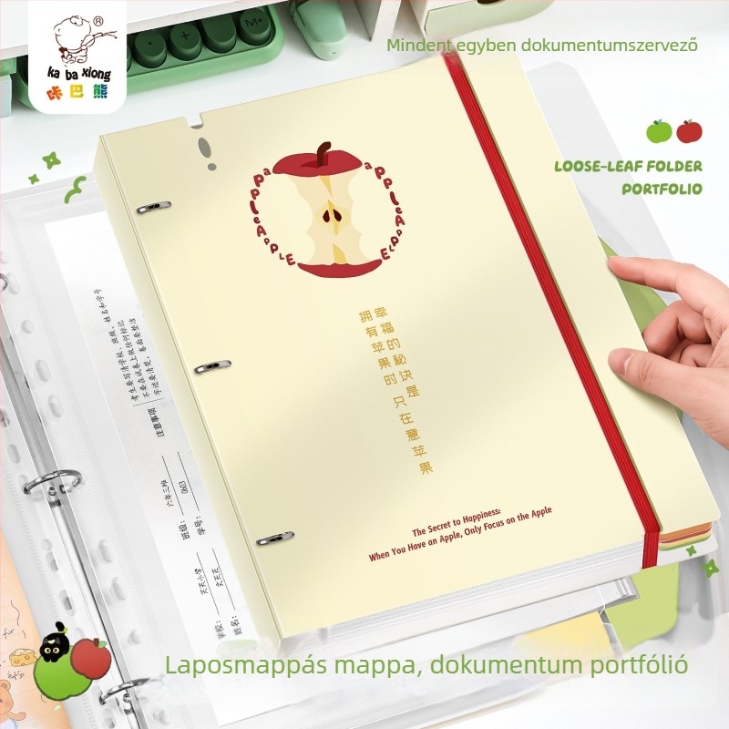 Cartoon Bear A4-es mappa átlátszó betétes zsebekkel — Dokumentumok rendezője