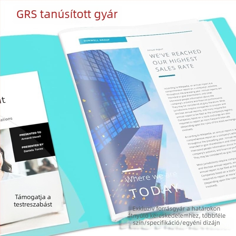 A4-es méretű műanyag mappa vizsgadolgozatokhoz személyre szabható logóval és irodai szervezéshez