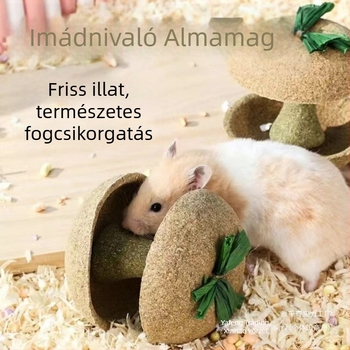 Hörcsögöknek almamagos rágóbot – tartós játék és nassolnivaló