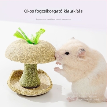 Hörcsögöknek almamagos rágóbot – tartós játék és nassolnivaló