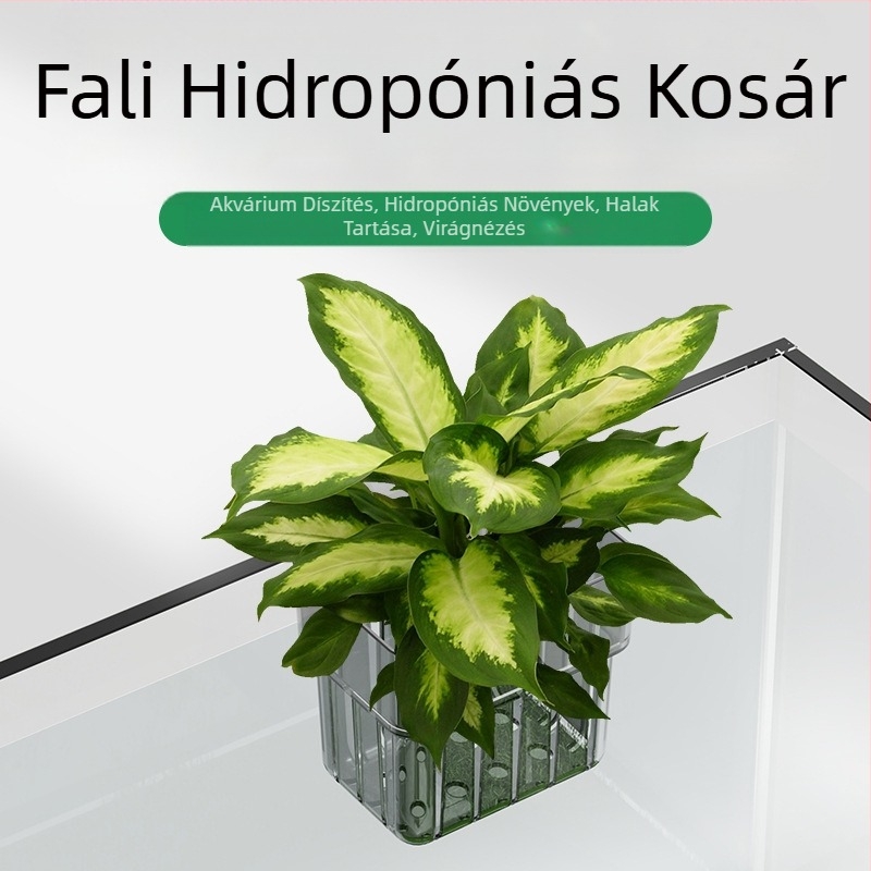Akril anyagú hidroponikus ültetőkosár akváriumhoz, falra szerelhető dísz