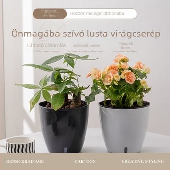 Belső térre tervezett minimalistikus önöntöző virágtartó vastag műanyag víztárolóval, asztali dekoráció