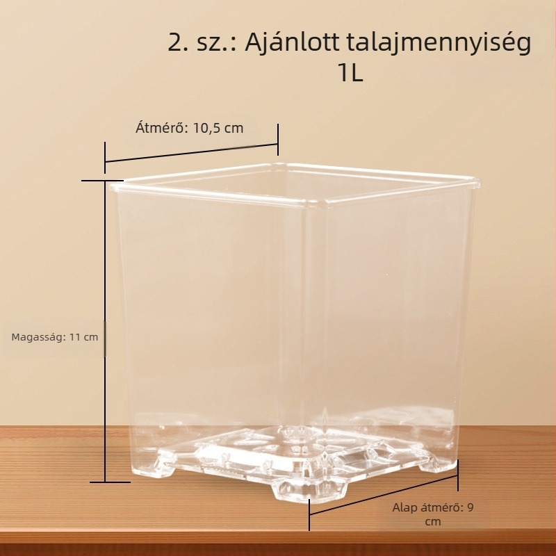 Négyzet alakú, átlátszó akril virágtartó orchideához mohapótlással – otthoni használatra készlet