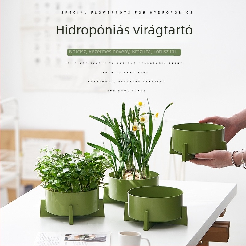 Hidroponikus növénytartó edény gyantából narciszok, pénzfa, vízi liliom és lotusz számára