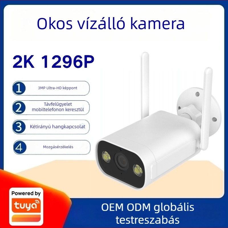 Graffiti-stílusú kültéri vízálló vezeték nélküli megfigyelő kamera, teljes színű éjszakai látással, 1296p, 4 mm lencse, Wi-Fi