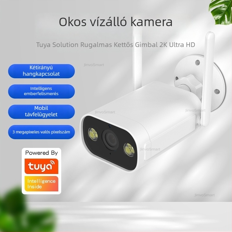 Graffiti-stílusú kültéri vízálló vezeték nélküli megfigyelő kamera, teljes színű éjszakai látással, 1296p, 4 mm lencse, Wi-Fi