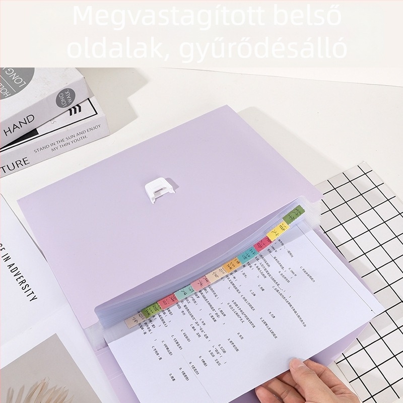 Minimalista, raktáron lévő, hordozható akordeon irattartó több rekesszel, A4-es méretű, iskolai dokumentumokhoz való táska