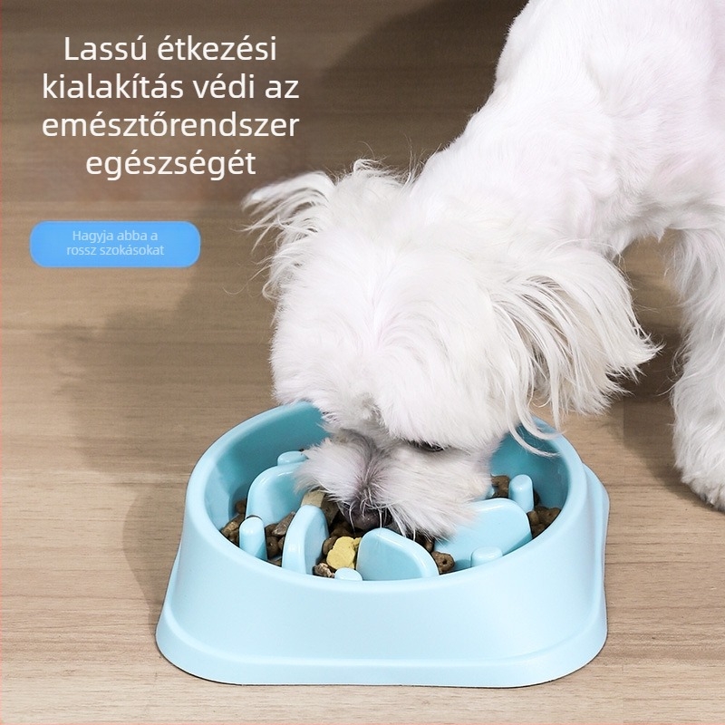 Kutyák lassú etető tál, fulladás elleni kialakítás, színes, praktikus etetőeszköz